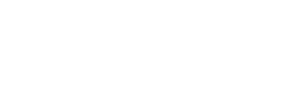 Acoustic Pulse Reflectometry Inspection Solutions